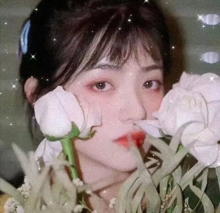 侦相 海报