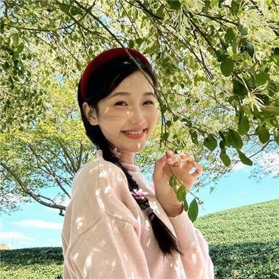 冲绳小芙蓉 海报